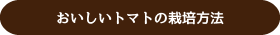 おいしいトマトの栽培方法